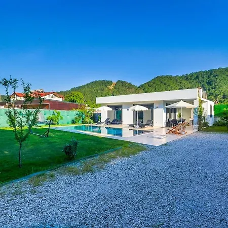 David In Gocek-inlice 빌라